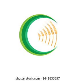 Agriculture wheat Logo Template vector icon design - Vector
