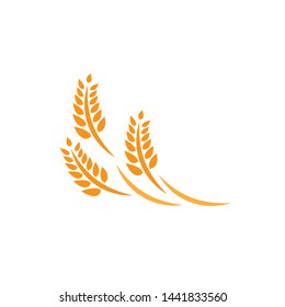 Agriculture wheat Logo Template vector icon design - Vector
