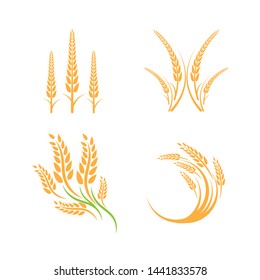 Diseño del icono vectorial de la plantilla de logotipos de trigo agrícola - Vector
