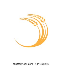 Agriculture wheat Logo Template vector icon design - Vector
