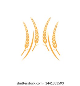 Agriculture wheat Logo Template vector icon design - Vector
