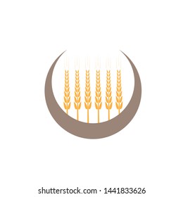 Agriculture wheat Logo Template vector icon design - Vector
