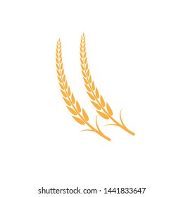 Agriculture wheat Logo Template vector icon design - Vector

