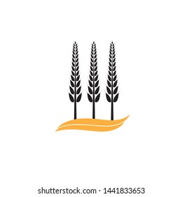 Agriculture wheat Logo Template vector icon design - Vector
