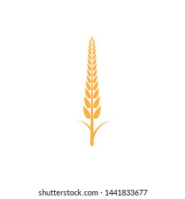 Agriculture wheat Logo Template vector icon design - Vector
