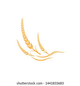 Agriculture wheat Logo Template vector icon design - Vector
