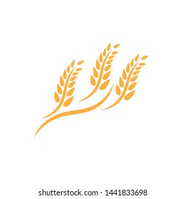 Agriculture wheat Logo Template vector icon design - Vector
