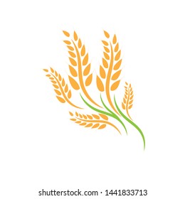Agriculture wheat Logo Template vector icon design - Vector
