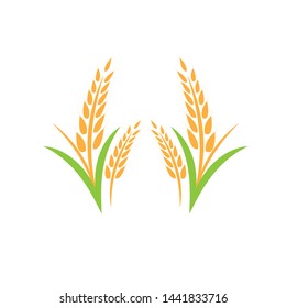 Agriculture wheat Logo Template vector icon design - Vector

