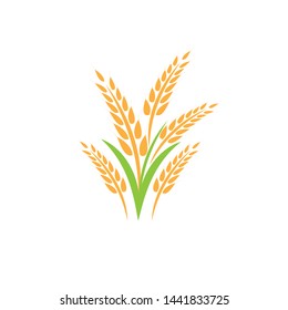 Agriculture wheat Logo Template vector icon design - Vector
