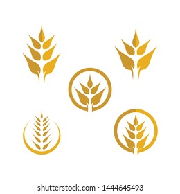 Agriculture wheat logo template vector icon