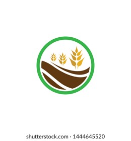 Agriculture wheat logo template vector icon