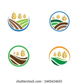 Agriculture wheat logo template vector icon