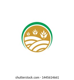 Agriculture wheat logo template vector icon