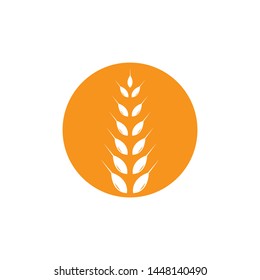 Agriculture wheat Logo Template vector icon design 