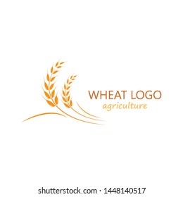 Agriculture wheat Logo Template vector icon design 