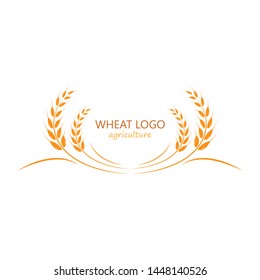 Agriculture wheat Logo Template vector icon design 