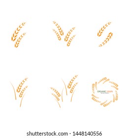 Agriculture wheat Logo Template vector icon design 