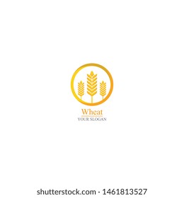 Agriculture wheat Logo Template vector icon design 