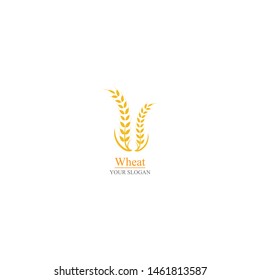 Agriculture wheat Logo Template vector icon design 