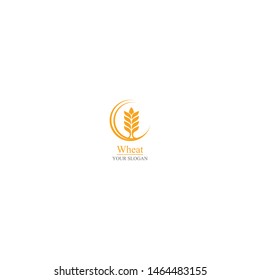 Agriculture wheat Logo Template vector icon design 