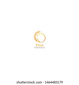 Agriculture wheat Logo Template vector icon design 
