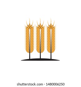 Agriculture wheat Logo Template vector icon design

