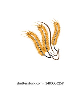 Agriculture wheat Logo Template vector icon design
