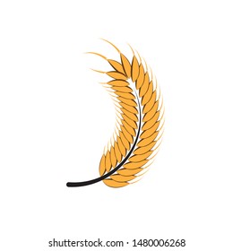 Agriculture wheat Logo Template vector icon design
