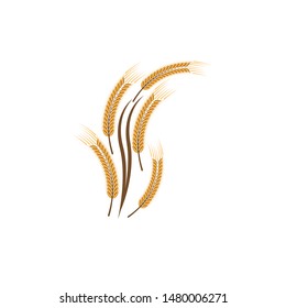 Agriculture wheat Logo Template vector icon design
