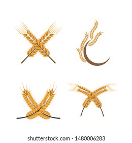 Agriculture wheat Logo Template vector icon design
