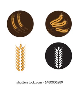 Agriculture wheat Logo Template vector icon design
