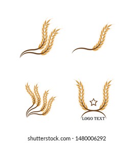 Agriculture wheat Logo Template vector icon design
