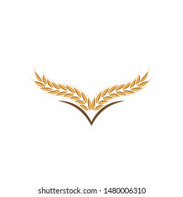 Agriculture wheat Logo Template vector icon design
