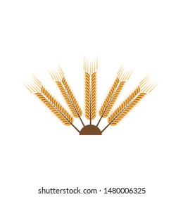Agriculture wheat Logo Template vector icon design

