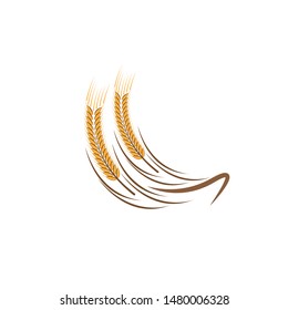 Agriculture wheat Logo Template vector icon design
