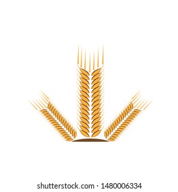 Agriculture wheat Logo Template vector icon design
