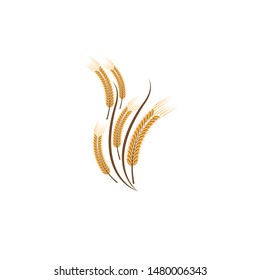 Agriculture wheat Logo Template vector icon design
