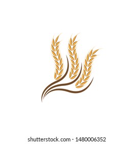 Agriculture wheat Logo Template vector icon design
