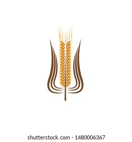 Agriculture wheat Logo Template vector icon design
