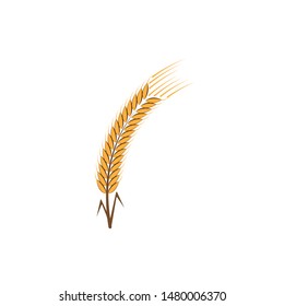 Agriculture wheat Logo Template vector icon design

