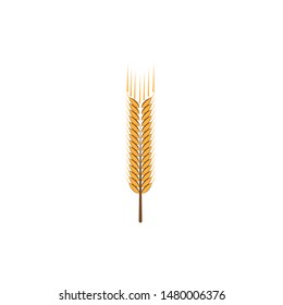 Agriculture wheat Logo Template vector icon design
