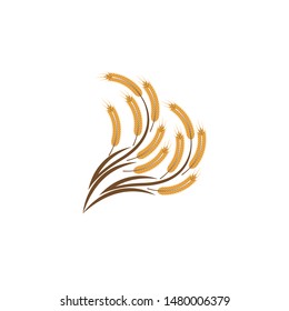 Agriculture wheat Logo Template vector icon design
