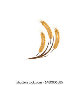 Agriculture wheat Logo Template vector icon design
