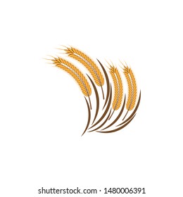 Agriculture wheat Logo Template vector icon design
