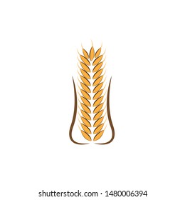 Agriculture wheat Logo Template vector icon design
