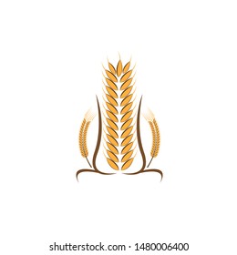Agriculture wheat Logo Template vector icon design

