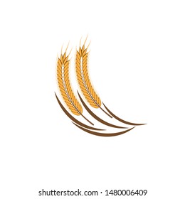 Agriculture wheat Logo Template vector icon design
