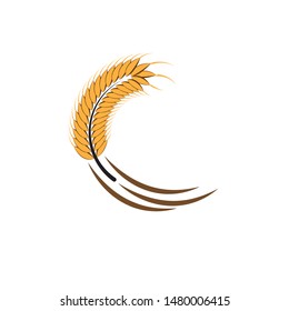 Agriculture wheat Logo Template vector icon design

