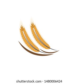 Agriculture wheat Logo Template vector icon design

